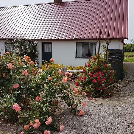 Ferienwohnung Peterslund Östra Tommarp Exterior foto
