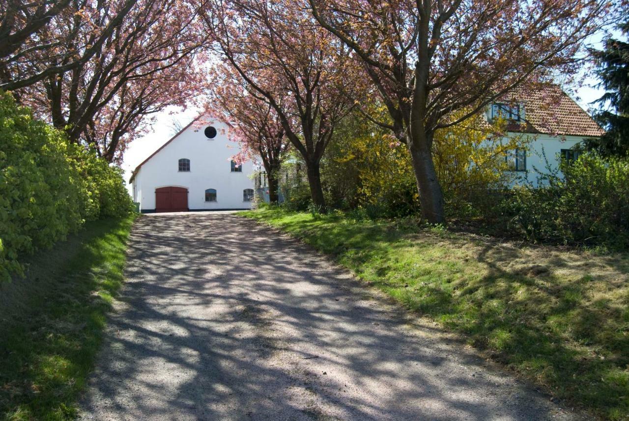 Ferienwohnung Peterslund Östra Tommarp Exterior foto
