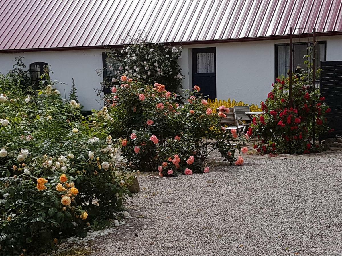 Ferienwohnung Peterslund Östra Tommarp Exterior foto